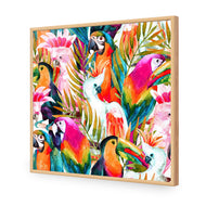 Parrots & Palms
