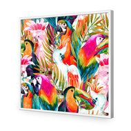 Parrots & Palms
