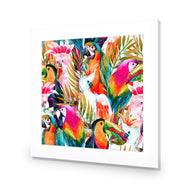 Parrots & Palms