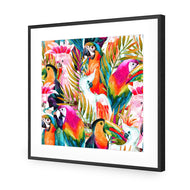 Parrots & Palms