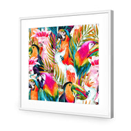 Parrots & Palms