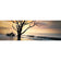 Botany Bay Sunrise
