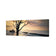 Botany Bay Sunrise