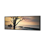 Botany Bay Sunrise