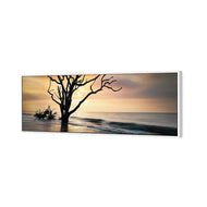 Botany Bay Sunrise