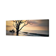 Botany Bay Sunrise