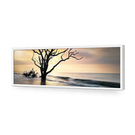 Botany Bay Sunrise