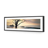 Botany Bay Sunrise