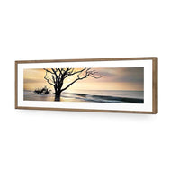 Botany Bay Sunrise