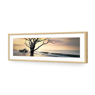 Botany Bay Sunrise