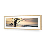 Botany Bay Sunrise
