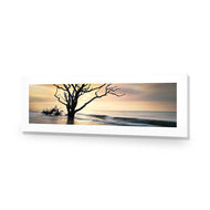 Botany Bay Sunrise
