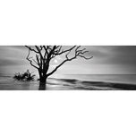Botany Bay Sunrise,B&W