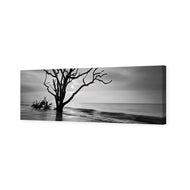 Botany Bay Sunrise,B&W