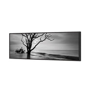 Botany Bay Sunrise,B&W