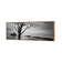 Botany Bay Sunrise,B&W