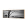 Botany Bay Sunrise,B&W