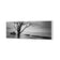 Botany Bay Sunrise,B&W