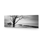 Botany Bay Sunrise,B&W