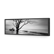 Botany Bay Sunrise,B&W