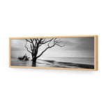 Botany Bay Sunrise,B&W