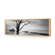 Botany Bay Sunrise,B&W