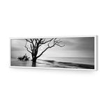 Botany Bay Sunrise,B&W