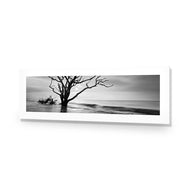 Botany Bay Sunrise,B&W