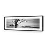 Botany Bay Sunrise,B&W