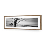 Botany Bay Sunrise,B&W