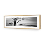 Botany Bay Sunrise,B&W