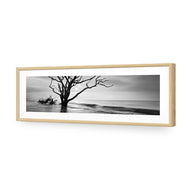 Botany Bay Sunrise,B&W