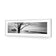 Botany Bay Sunrise,B&W