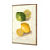 Watercolour Green Lemon and Ripe Lemon