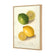 Watercolour Green Lemon and Ripe Lemon