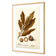 Watercolour Macadamia