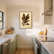 Watercolour Macadamia