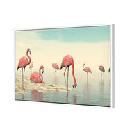 Flamingo Chill
