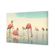 Flamingo Chill