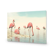 Flamingo Chill