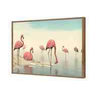 Flamingo Chill