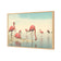 Flamingo Chill