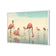Flamingo Chill