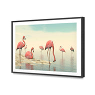Flamingo Chill