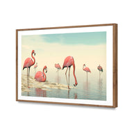 Flamingo Chill