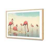 Flamingo Chill