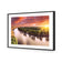 Murray River Sunrise