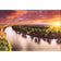 Murray River Sunrise