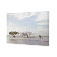 Mellow Mangroves