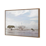 Mellow Mangroves
